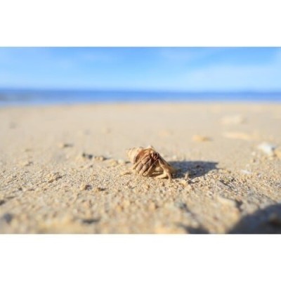 Canon Lens RF 16mm f/2.8 STM