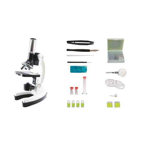 ΜΙΚΡΟΣΚΟΠΙΟ 