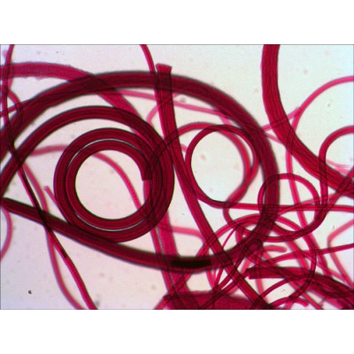 ΠΑΡΑΣΚΕΥΑΣΜΑΤΑ ΣΕΤ 10τμχ