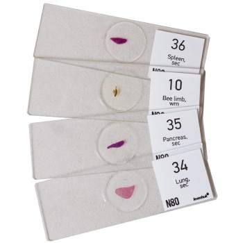 ΠΑΡΑΣΚΕΥΑΣΜΑΤΑ ΣΕΤ 80τεμ