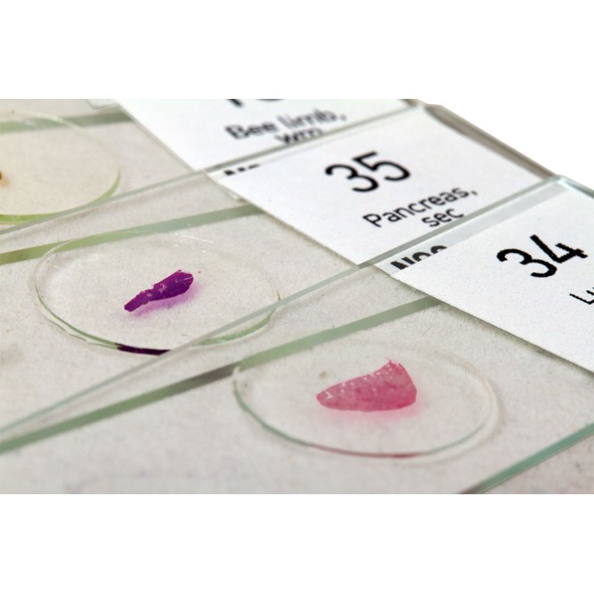 ΠΑΡΑΣΚΕΥΑΣΜΑΤΑ ΣΕΤ 80τεμ