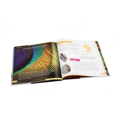 KNOWLEDGE BOOK: INVISIBLE WORLD ENGLISH HARDCOVER