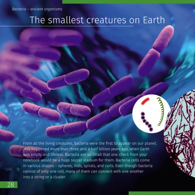 KNOWLEDGE BOOK: INVISIBLE WORLD ENGLISH HARDCOVER