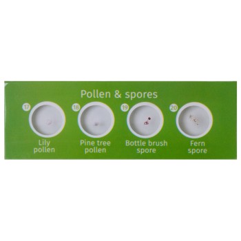 ΠΑΡΑΣΚΕΥΑΣΜΑΤΑ P12 ΣΕΤ 12τμχ ΦΥΤΑ