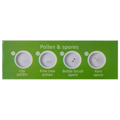 ΠΑΡΑΣΚΕΥΑΣΜΑΤΑ P12 ΣΕΤ 12τμχ ΦΥΤΑ