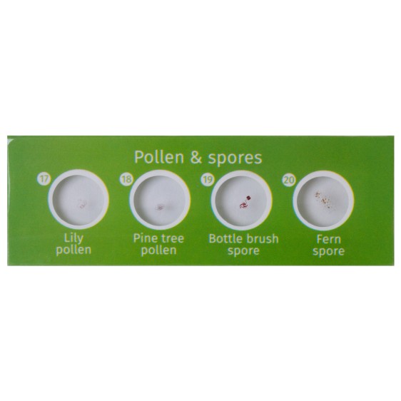 ΠΑΡΑΣΚΕΥΑΣΜΑΤΑ P12 ΣΕΤ 12τμχ ΦΥΤΑ