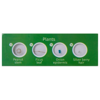 ΠΑΡΑΣΚΕΥΑΣΜΑΤΑ P12 ΣΕΤ 12τμχ ΦΥΤΑ