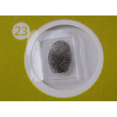 ΠΑΡΑΣΚΕΥΑΣΜΑΤΑ P12 ΣΕΤ 12τμχ ΦΥΤΑ