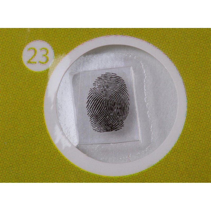 ΠΑΡΑΣΚΕΥΑΣΜΑΤΑ P12 ΣΕΤ 12τμχ ΦΥΤΑ