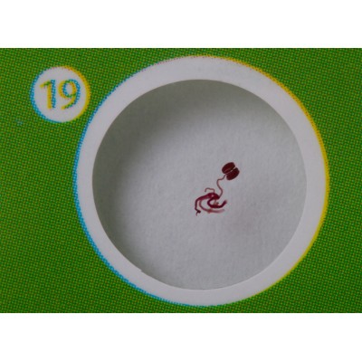 ΠΑΡΑΣΚΕΥΑΣΜΑΤΑ P12 ΣΕΤ 12τμχ ΦΥΤΑ