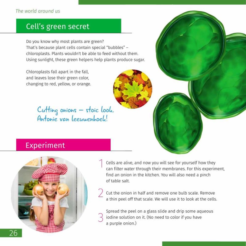 KNOWLEDGE BOOK: INVISIBLE WORLD ENGLISH SOFTCOVER