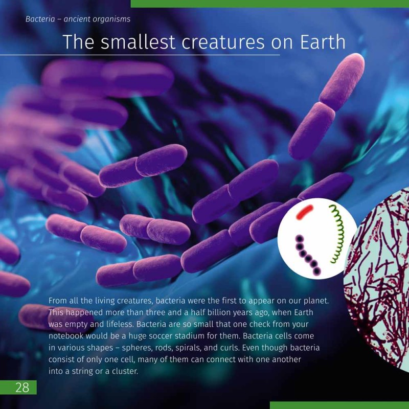 KNOWLEDGE BOOK: INVISIBLE WORLD ENGLISH SOFTCOVER