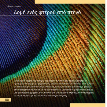 ΑΘΕΑΤΟΣ ΚΟΣΜΟΣ - ΤΑΞΙΔΙΑ ΜΕ ΜΙΚΡΟΣΚΟΠΙΟ