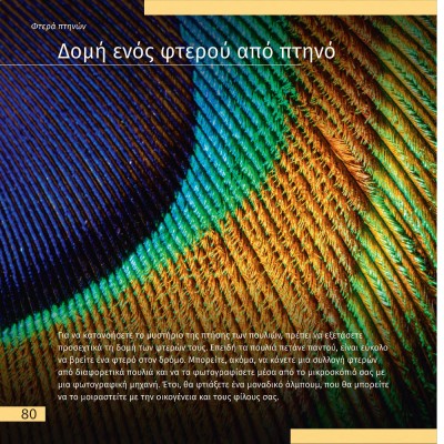 ΑΘΕΑΤΟΣ ΚΟΣΜΟΣ - ΤΑΞΙΔΙΑ ΜΕ ΜΙΚΡΟΣΚΟΠΙΟ