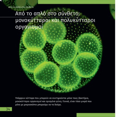 ΑΘΕΑΤΟΣ ΚΟΣΜΟΣ - ΤΑΞΙΔΙΑ ΜΕ ΜΙΚΡΟΣΚΟΠΙΟ