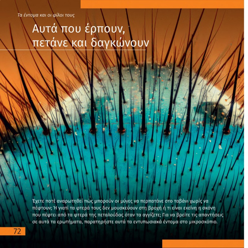 ΑΘΕΑΤΟΣ ΚΟΣΜΟΣ - ΤΑΞΙΔΙΑ ΜΕ ΜΙΚΡΟΣΚΟΠΙΟ