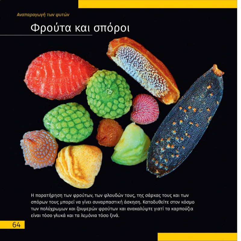 ΑΘΕΑΤΟΣ ΚΟΣΜΟΣ - ΤΑΞΙΔΙΑ ΜΕ ΜΙΚΡΟΣΚΟΠΙΟ