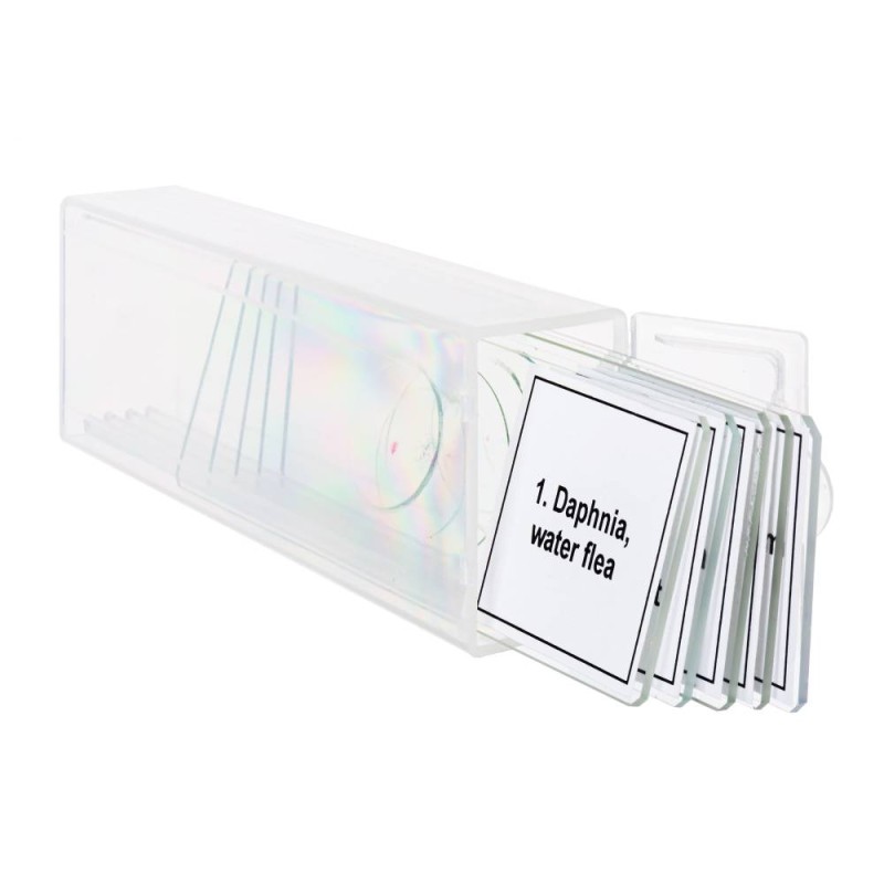 ΠΑΡΑΣΚΕΥΑΣΜΑΤΑ DISCOVERY PROF LIFE IN A DROP