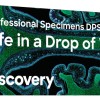 ΠΑΡΑΣΚΕΥΑΣΜΑΤΑ DISCOVERY PROF LIFE IN A DROP