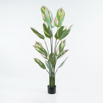 Διακοσμητικό φυτό σε γλάστρα Aglaonema Inart πράσινο Φ80x150εκ