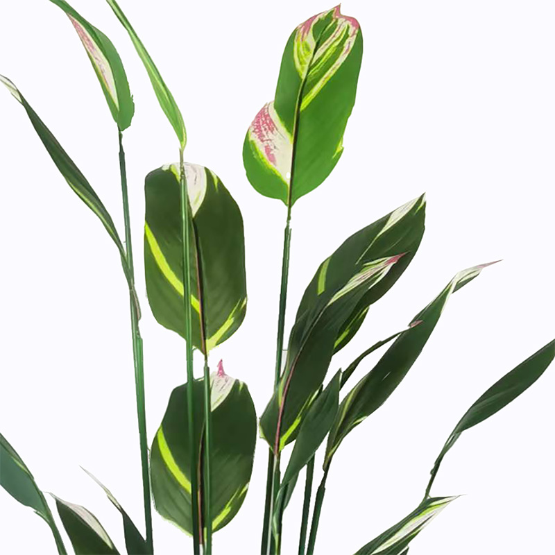 Διακοσμητικό φυτό σε γλάστρα Lucky I Inart πράσινο Φ80x210εκ