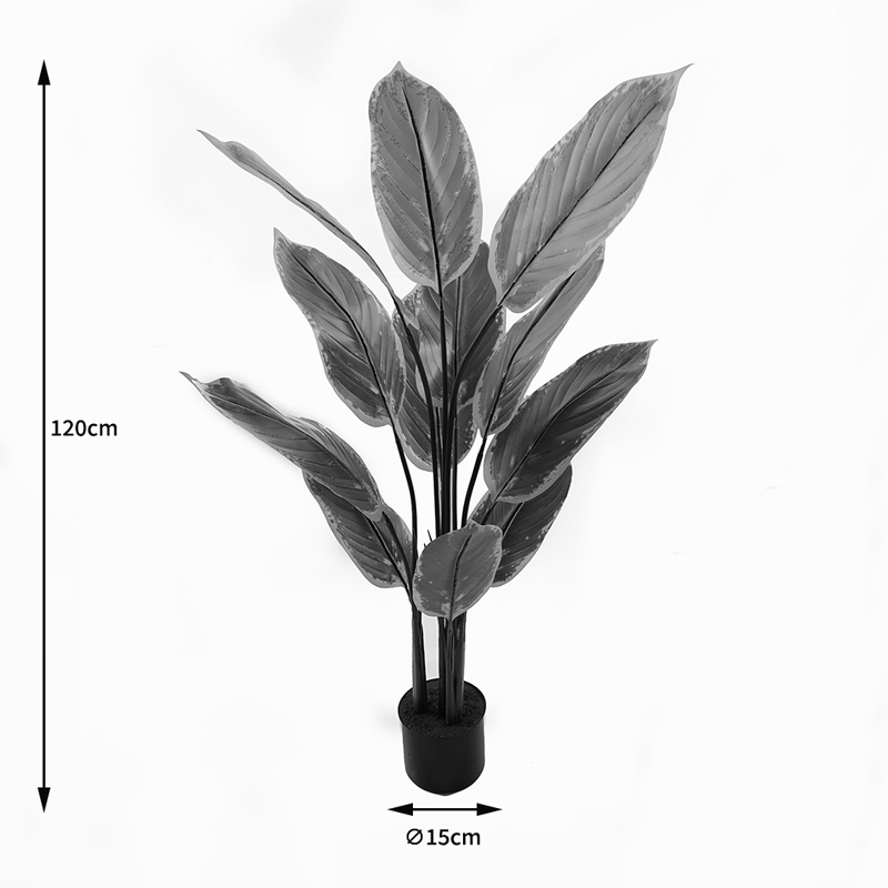 Διακοσμητικό φυτό σε γλάστρα Calathea Inart πράσινο Φ68x120εκ