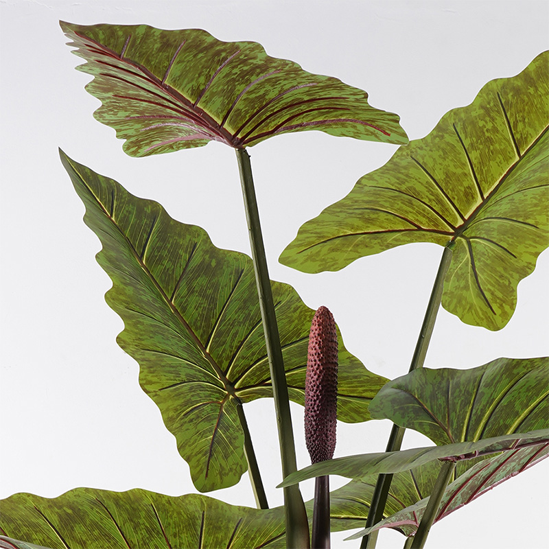 Διακοσμητικό φυτό σε γλάστρα Wentii Inart πράσινο Φ130x180εκ