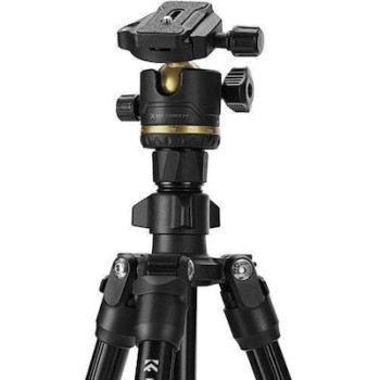 K&F Concept K234A0+BH-36L Magnesium Travel Tripod with Ball Head & Phone Clamp (KF09.149) Black/Gold (σε 3 άτοκες ή 4 εώς 36 δόσεις)
