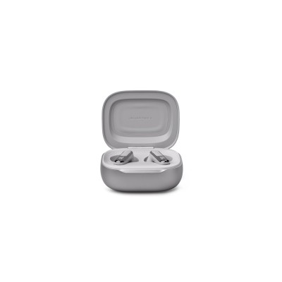 Live Flex 3, True Wireless Ear-Buds Headphones, Silver
