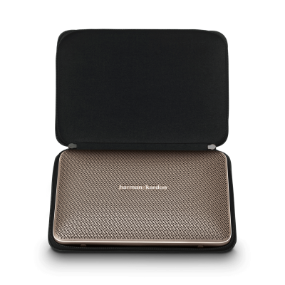 Luxury Case for Esquire 2