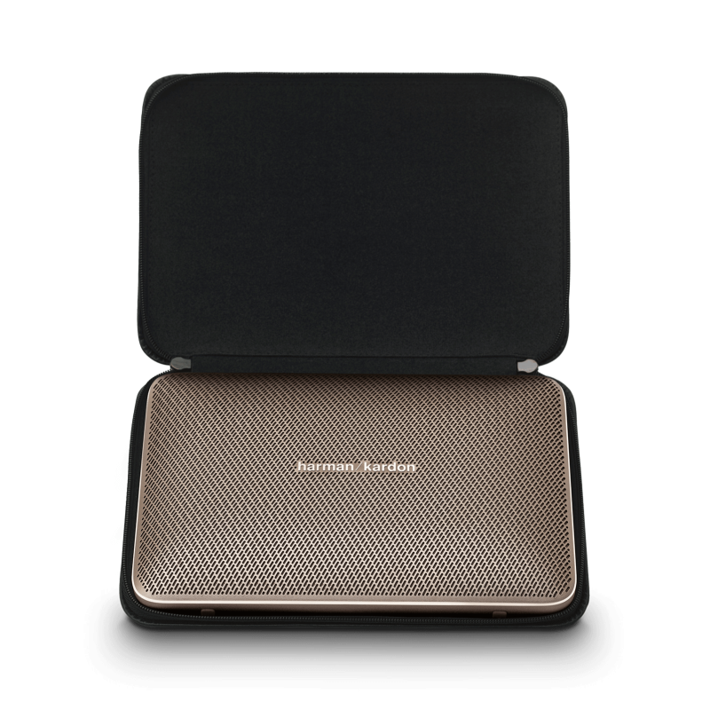 Luxury Case for Esquire 2