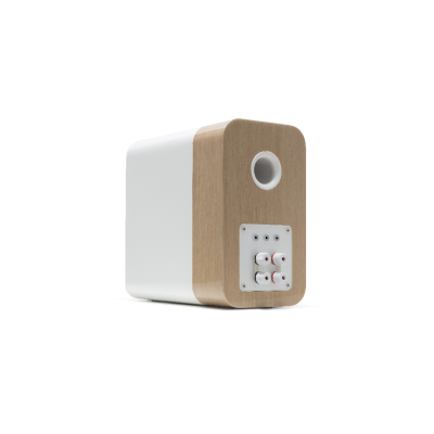 Concept 300, Bookshelf Speakers with stand, Silver/Ebony