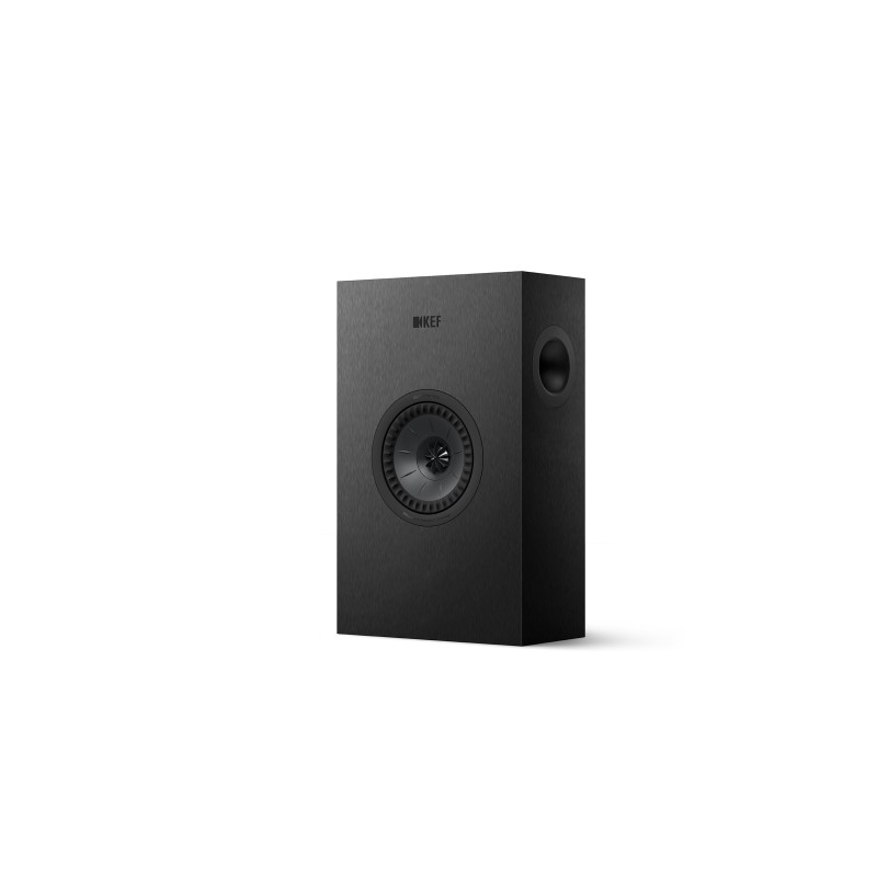 Q4 Meta, On Wall Spealers, Walnut